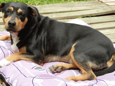 LA ENANA TOMANDO SOL