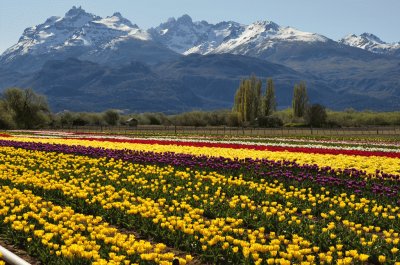 Trevelin. Chubut. Argentina