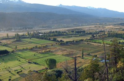 Cultivo de frutas finas en El BolsÃ³n. Argentina