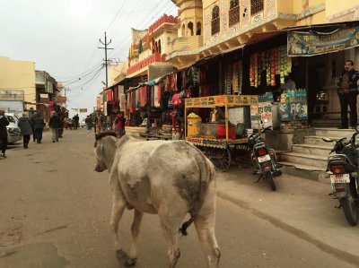 Pushkar - India