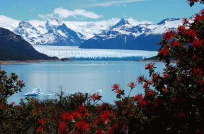 Glaciar Perito Moreno. Argentina