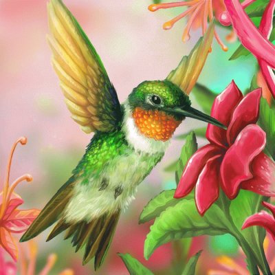 Hummingbird Paint