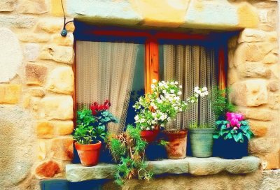 Macetas en la ventana