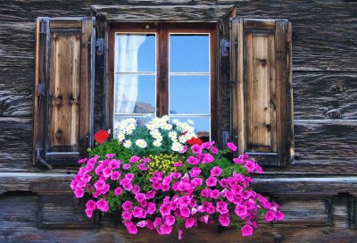 Ventana con flores 2