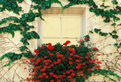 ventana con flores