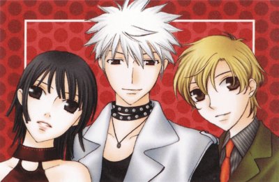 Fruits Basket 9