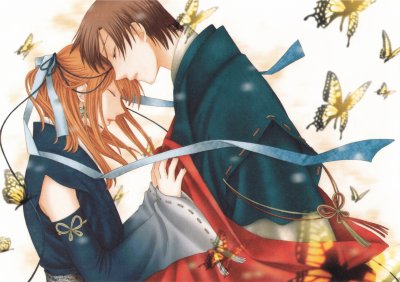 Fruits Basket 14