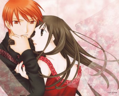 Fruits Basket 17