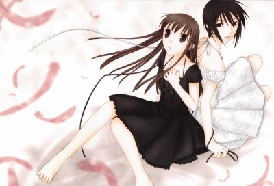 Fruits Basket 20