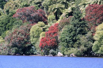 Lake Tarawera