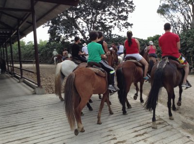 Cabalgata Parque del Cafe Colombia