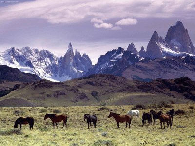 Patagonia argentina