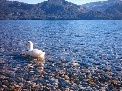 Lago Traful. NeuquÃ©n. Argentina