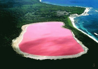 Lago Rosa. Australia