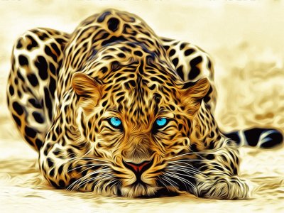 leopardo