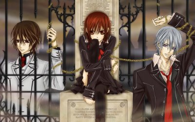 Vampire Knight 8