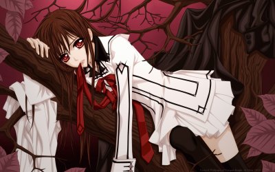 Vampire Knight 11