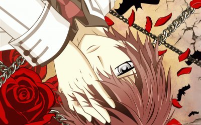 Vampire Knight 17