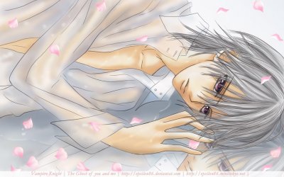 Vampire Knight 21