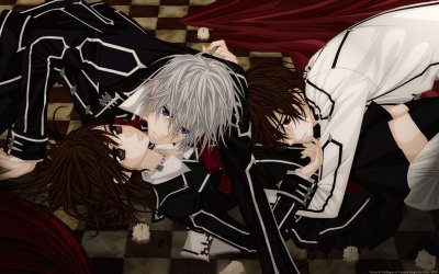 Vampire Knight 25