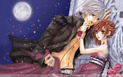 Vampire Knight 28