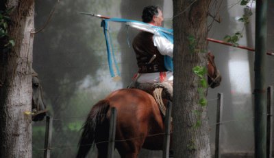 Tomada en JunÃ­n de los Andes. NeuquÃ©n. Argentina