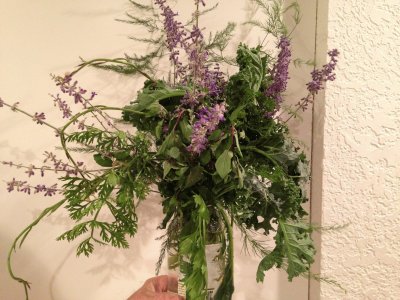 Herbs from my garden