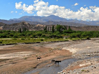 Tomada en Hualfin. Catamarca. Argentina