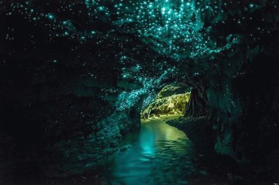 Cuevas de Waitomo Glowworm. Nueva Zelanda