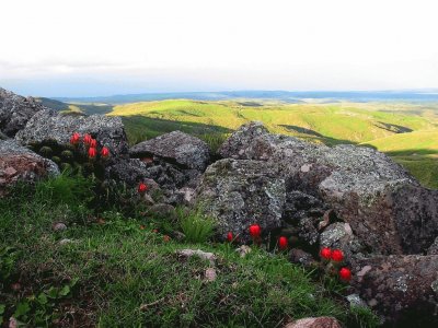 Sierra de Ancasti. Catamarca. Argentina