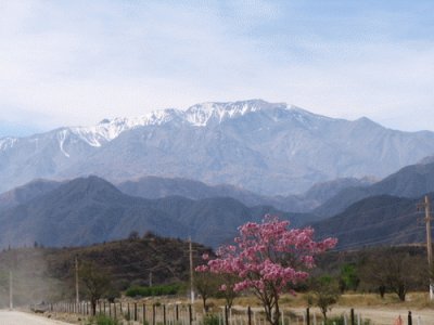 El Aconquija. Catamarca. Argentina