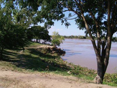 Isla Cerrito. Chaco. Argentina