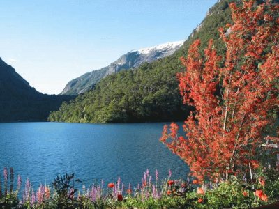 Puerto Blest. RÃ­o Negro. Argentina