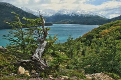 Lago del Desierto. Patagonia argentina