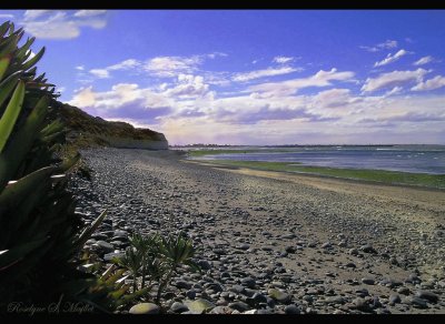 Costa chubutense. Argentina