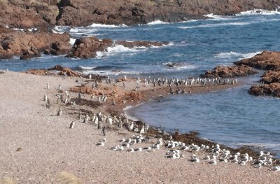 Tomada en Camarones. Chubut. Argentina