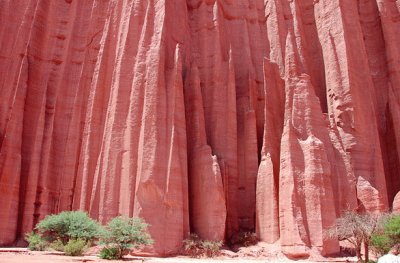 Talampaya. La Rioja. Argentina