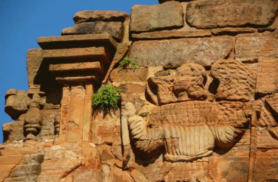 Ruinas de San Ignacio. Misiones. Argentina