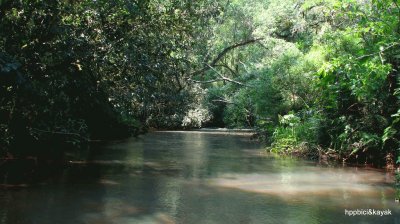 Arroyo La Olla. Misiones. Argentina