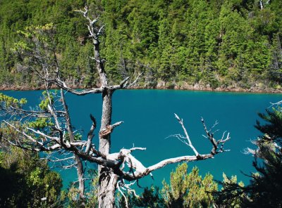 RÃ­o Puelo. Chubut. Argentina