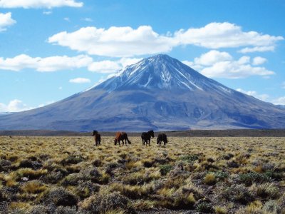 VolcÃ¡n Tromen. NeuquÃ©n. Argentina