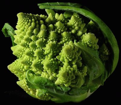 Broccoli Fractal