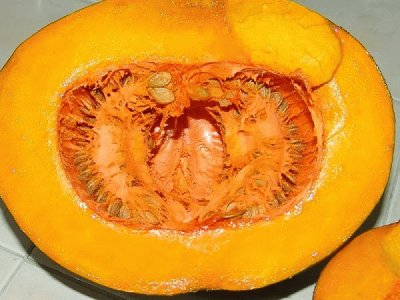 CALABAZA.