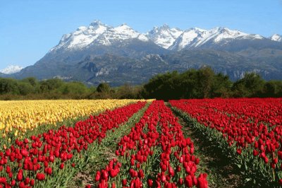 Trevelin. Chubut. Argentina