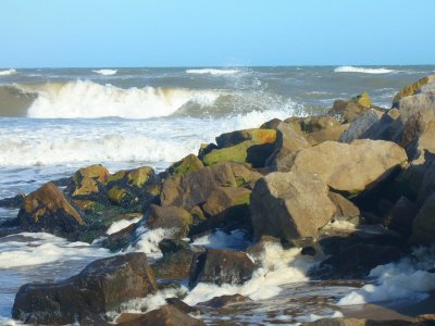 Tomada en la costa atlÃ¡ntica bonaerense. Argentina