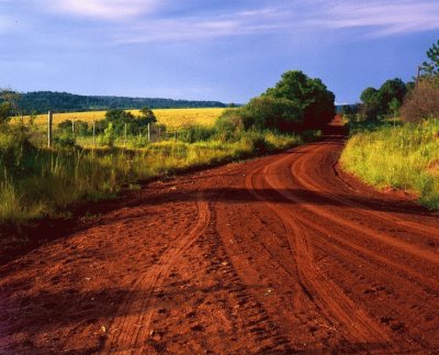 ItacaruarÃ©. Misiones. Argentina