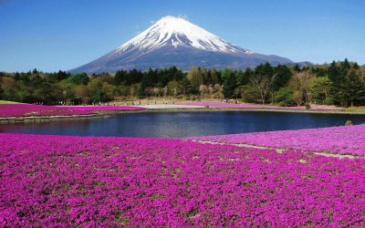 El Fujiyama. JapÃ³n