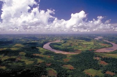 PN Chaco. Argentina