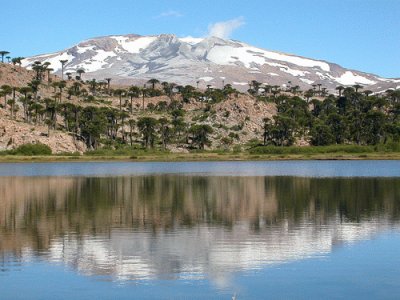 Copahue. NeuquÃ©n. Argentina