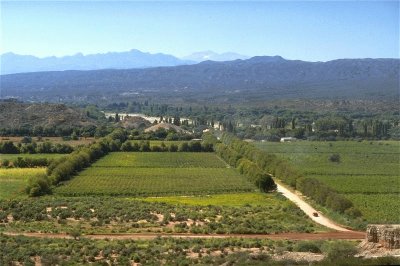 Hualfin. NeuquÃ©n. Argentina